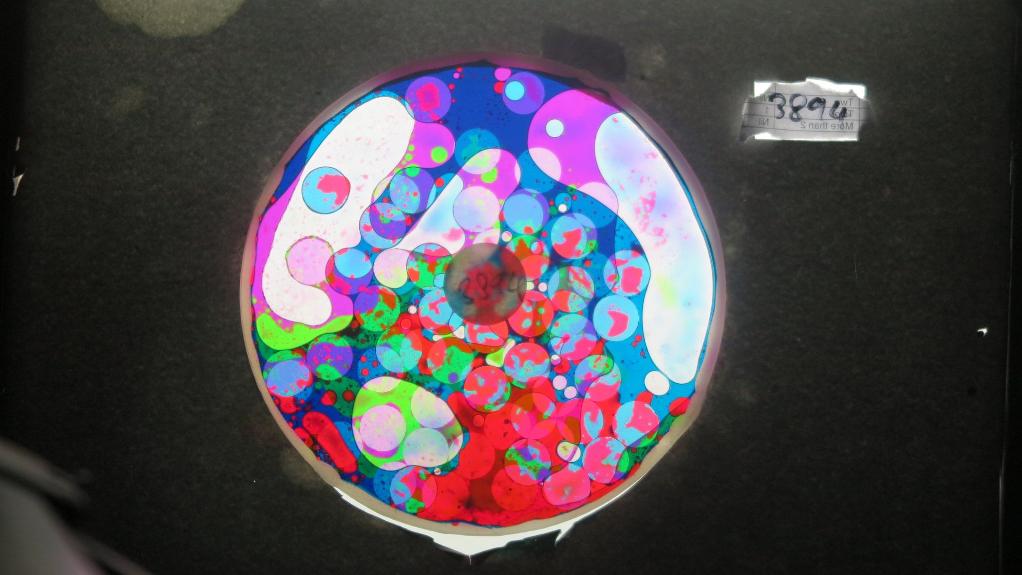 BV3894 bubble vision oil wheel